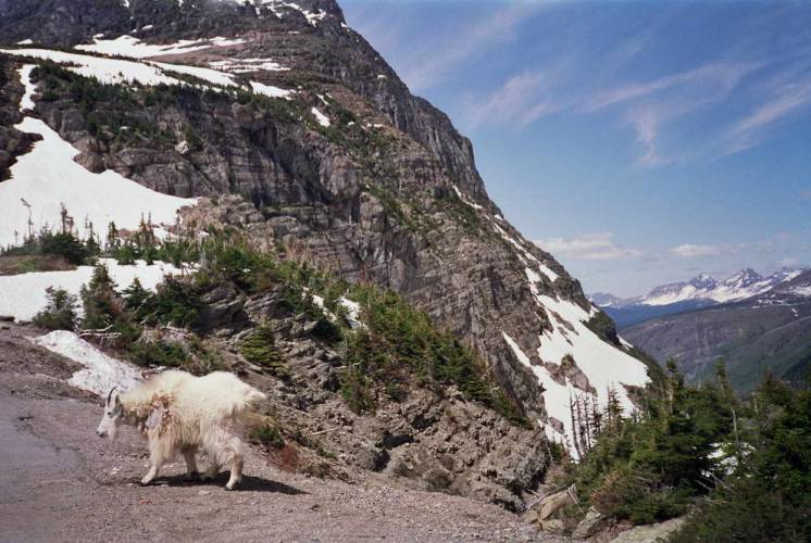 USA_1992-05-31 09-00-00_R08F15